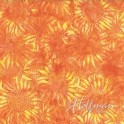 Tangerine - Bali Sunflowers